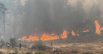 Valilik duyurdu! Aydın’daki Dilek Yarımadası o tarihlerde ziyarete kapalı