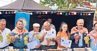 Avşar üzümüne coğrafi tescil