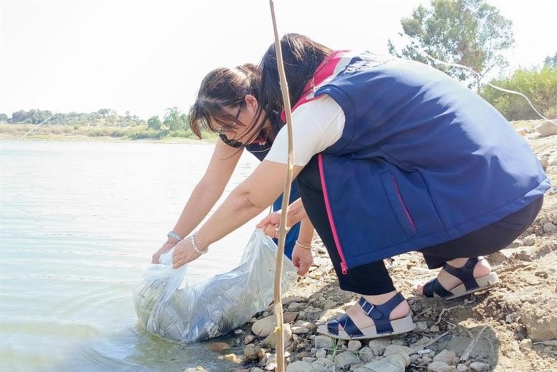 Sazanlar göle bırakıldı! Tam 1 milyon 215 bin adet