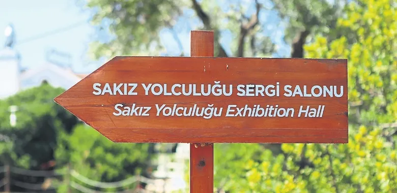 cesmenin-agaclarindan-servet-damliyor-1787434989014.jpeg