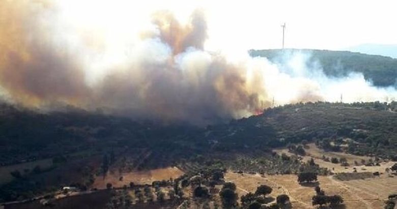 İzmir Urla’da orman yangını