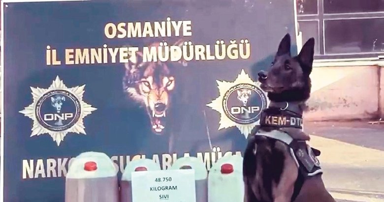 Karanlık ağlara büyük darbe