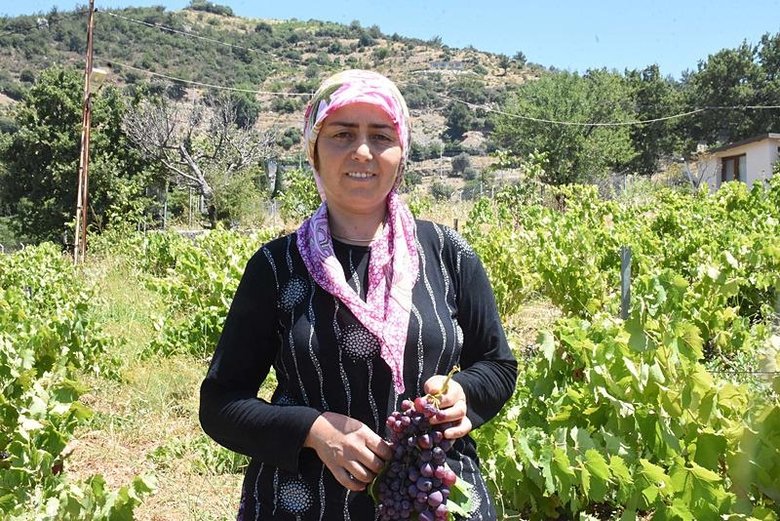 İzmir’de yetişiyor: Özellikleriyle dikkat çekiyor! Sıcaklar bastırınca bu yıl erken hasat edilecek