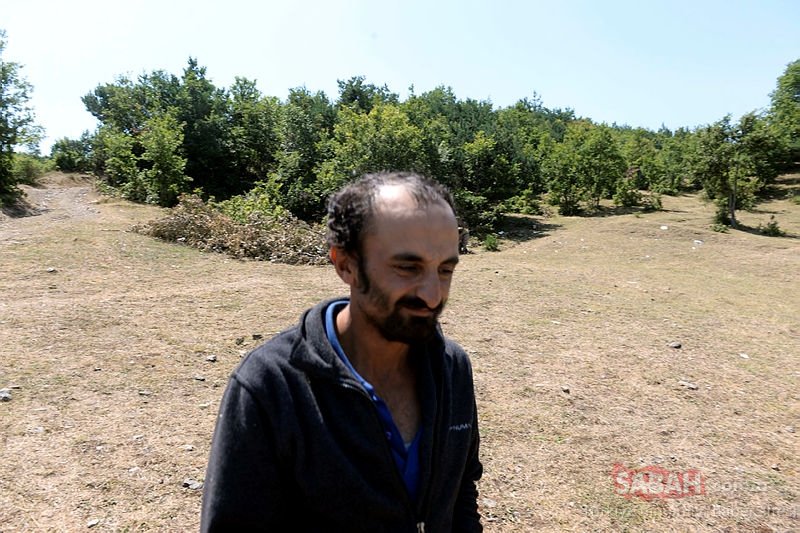 kayıp evrim ile ilgili görsel sonucu