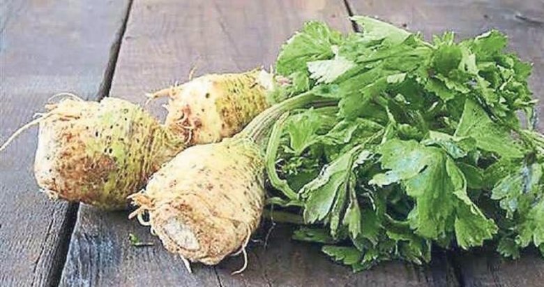 Böbreklerinizi kereviz ile çalıştırın