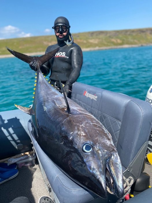 Çanakkale’de zıpkınla avladı! 180 cm boyunda 100 kilo ağırlığında