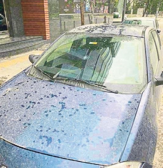 İzmir’e çamur yağmuru