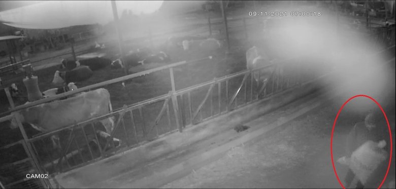 Beceriksiz hırsız, çaldığı çuval yırtılınca arkasına bakmadan kaçtı