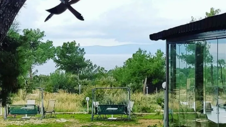İzmir’de sıcaklardan kaçıp nefes alabileceğiniz piknik alanları