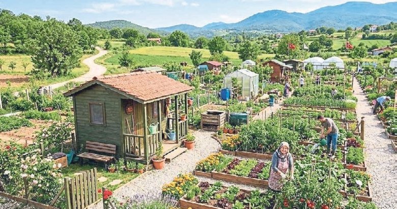 Arazilere bağ evi ve hobi bahçesi ayarı