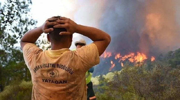 Tarım ve Orman Bakanlığı işçi alımı | OGM başvuru şartları neler?