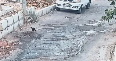 Karabağlar’da kanalizasyon çilesi!