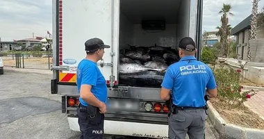 İzmir’de orkinos operasyonu: Piyasa değeri 500 bin TL!
