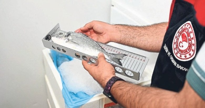 Denizli’de alabalık üreticisine 3.8 milyon TL destek sağlandı