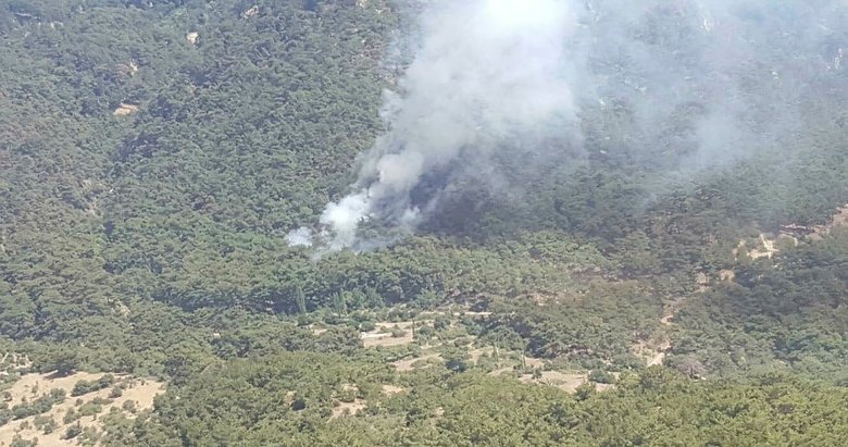 İzmir’de tabiat parkı yakınında orman yangını