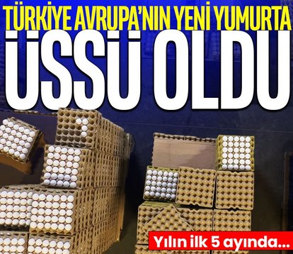 Türkiye Avrupa’nın yeni yumurta üssü oldu