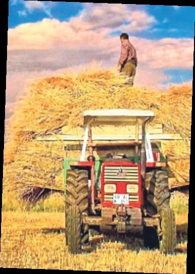 Dünyanın en eski mesleği çiftçilik