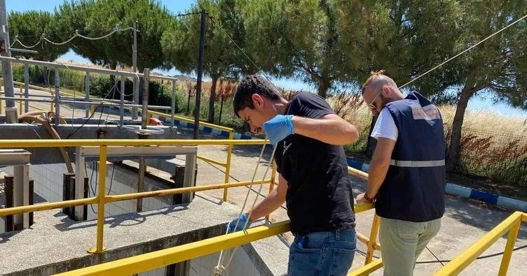 Marmara’da müsilajla mücadele: Bu yıl 55 tesis kapatıldı; 822.5 milyon TL ceza kesildi!