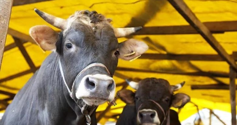 Kurban Bayramı ne zaman? 2022 Kurban Bayramı tarihi...
