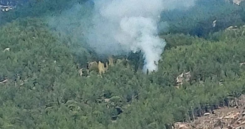Muğla’da ormanlık alandaki yangın kontrol altında