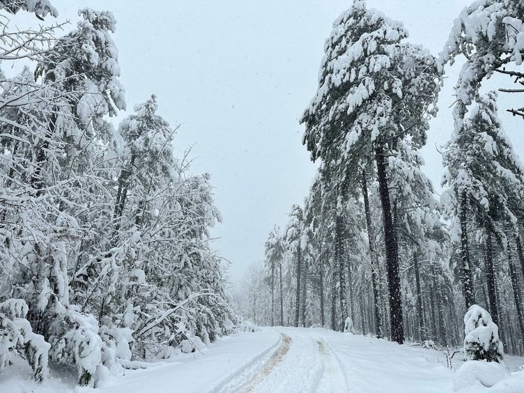 Kamp tutkunları karın tadını Ulus Dağı’nda çıkardı!