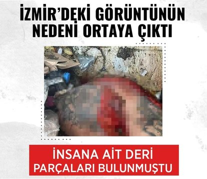 İzmir’de sokakta insana ait deri parçaları bulunmuştu! Gerçek ortaya çıktı