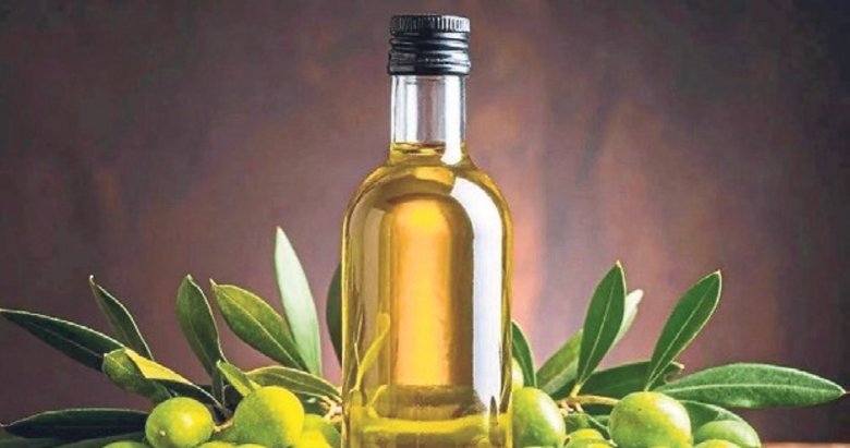 Zeytin ihracatı yapmak isteyenlere devlet desteği