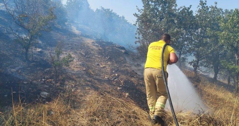 Çanakkale’de ormanlık alanda çıkan yangında 10 hektar alan zarar gördü