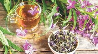 Uykusuzluğun doğal ilacı bitki çayları