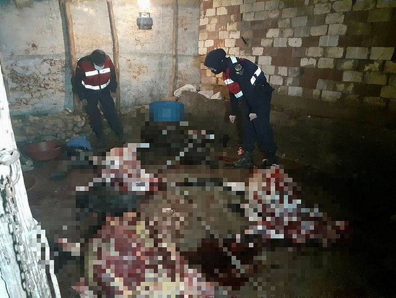 Eşek kesip piyasaya sürmeye çalışanlar suçüstü yakalandı