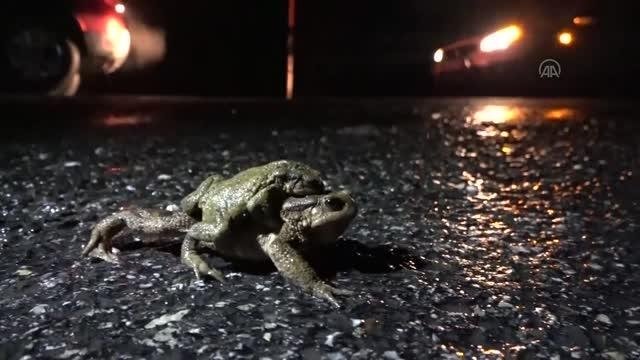 Tarihi göçün kanıtı kazıdan çıktı