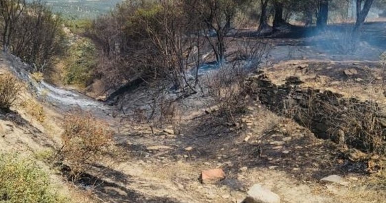 Balıkesir’de zeytinlik alanda yangın çıktı! 12 dekarlık arazi zarar gördü