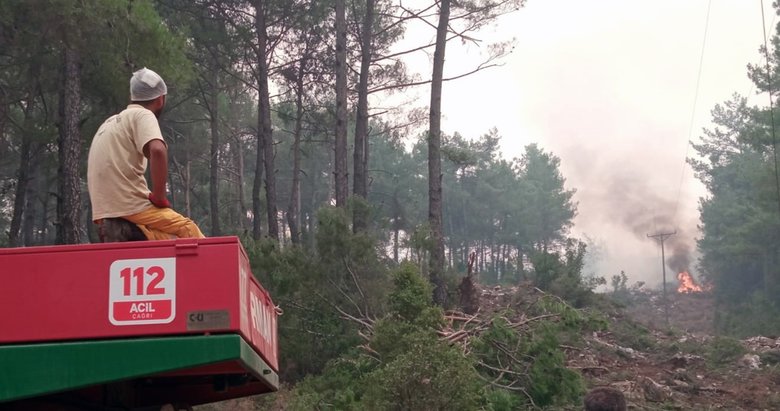 Başındaki 6 dikişle dinlenmeye değil ormana gitti!