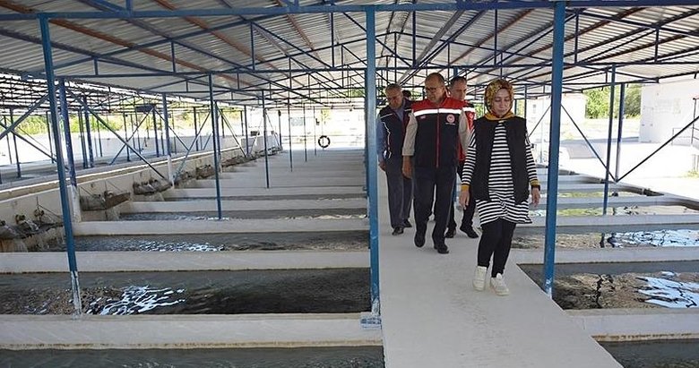 Aydın’a balık ihracatından 230 milyon dolar geldi