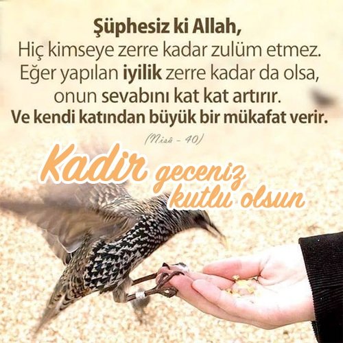 Resimli Kadir Gecesi mesajları! 2024 Instagram, Facebook, WhatsApp'ta paylaşmalık kandil mesajları...