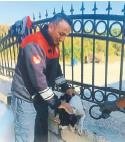 Demir parmaklıklara sıkışan köpek kurtarıldı