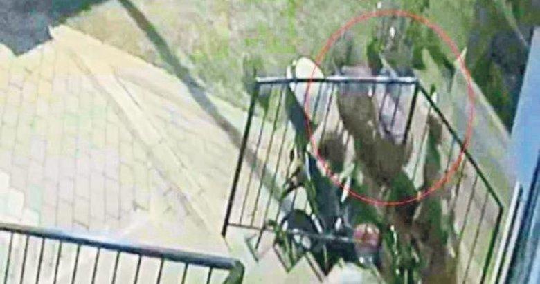 Genç restoratörün ölümü kamerada