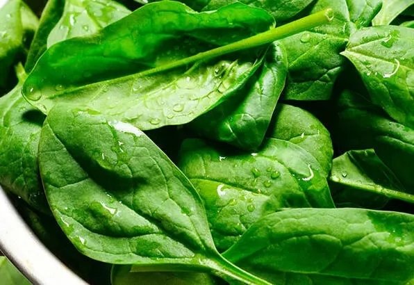 Ispanağın faydaları nelerdir? Ispanak zayıflatır mı? Ispanak nasıl yenir?