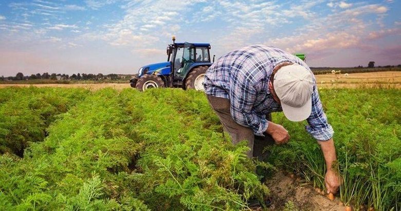 Aydın’da çiftçilere 31 milyon liralık destek