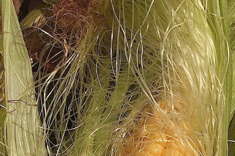 Mısır püskülü çayının faydaları nelerdir?