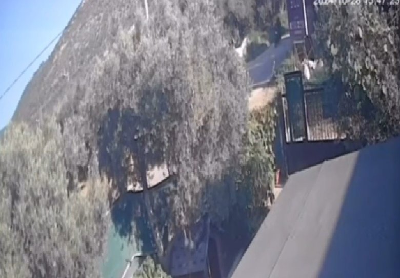 Balıkesir’de motosiklet ata çarptı: Genç sürücüsü ölümden döndü