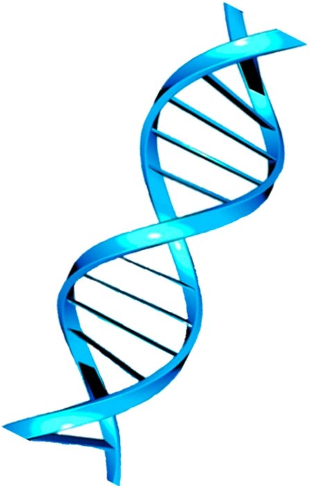 Yaşam süresi artık tahmin edilebilecek! DNA, yaşam süresi hakkında ipuçları veriyor