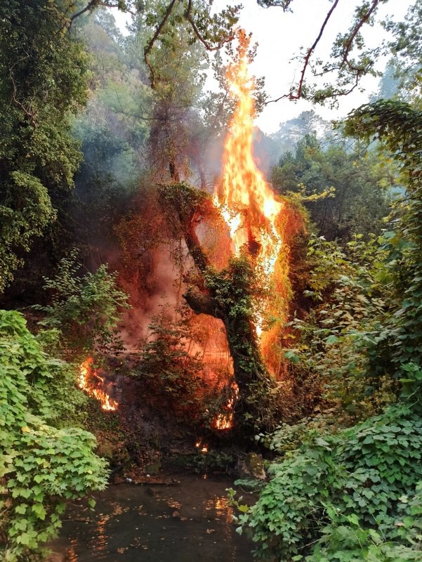 Tabiatın gizli hazinesi ‘Turgut Şelalesi’ de alevlere teslim oldu