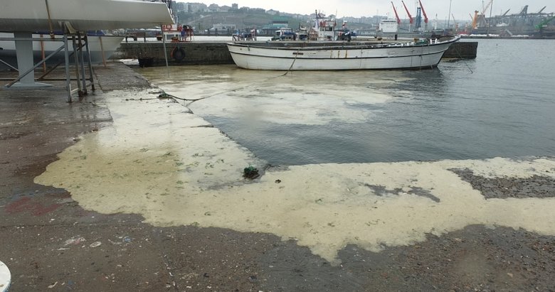 Balıkesir’de müsilaj binlerce balık ölümüne neden oldu