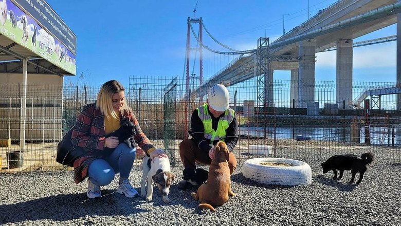 Hayvan dostu köprü! 1915 Çanakkale Köprüsü’ne can dostlar için barınak