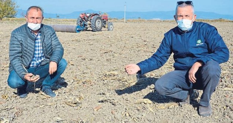 Gediz Ovası’nda toprak kupkuru