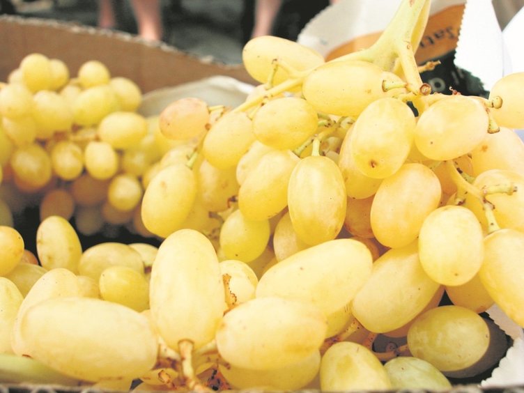 Yeşil üzümün faydaları nelerdir? Hangi hastalıklara iyi gelir?