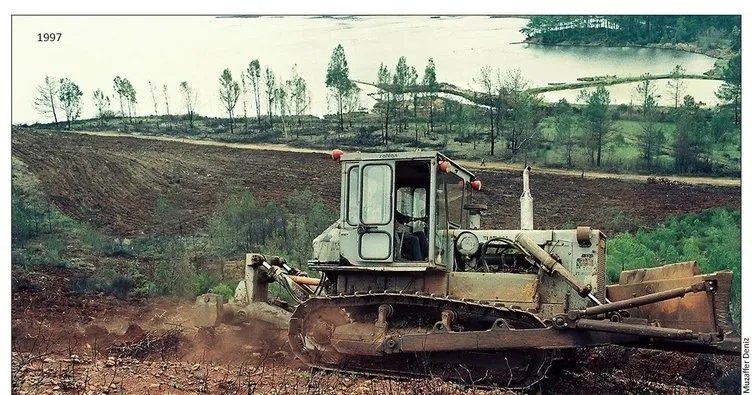 28 yıl önce felaketin yaşandığı Marmaris’te doğa tekrar canlandı