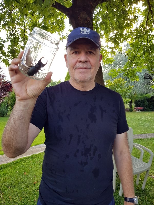 O böcek İzmir’de de görüldü! Büyük panik yarattı