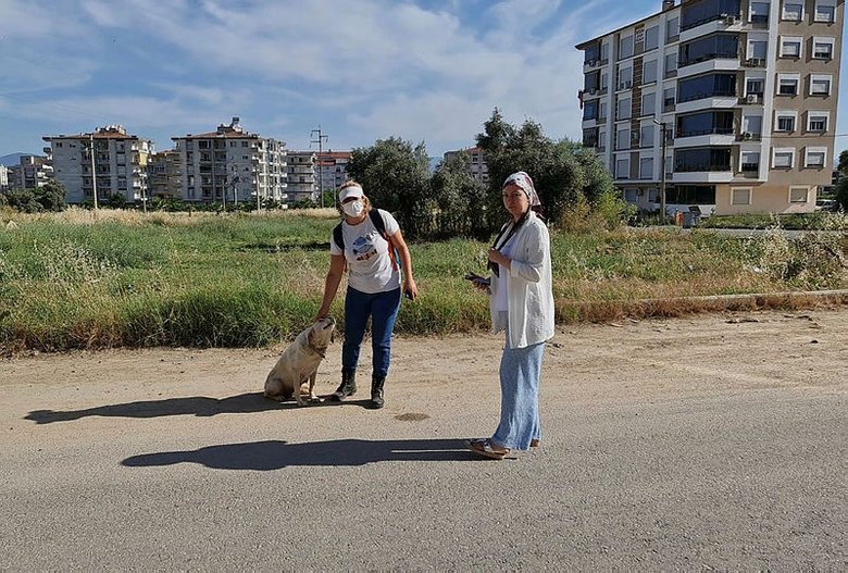 İzmir’de kedi ve köpekler zehirlendi